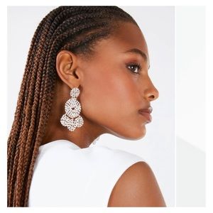 Flash Sale NEW BCBG MAXAZRIA Earrings PARTY DISK DROPS Bold, Silver Earrings